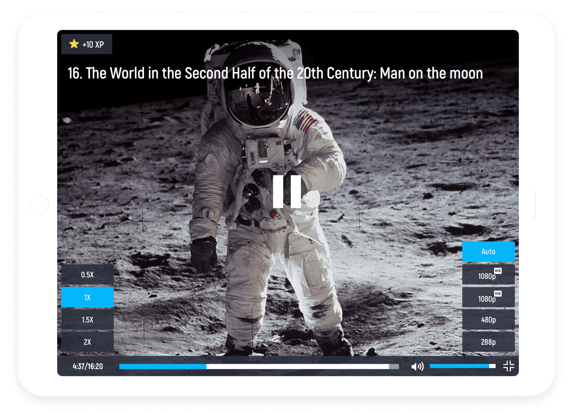 Ucha se Case Study Despark 